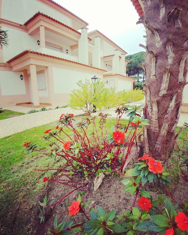 Good Vibes Daire Amoreira  Dış mekan fotoğraf